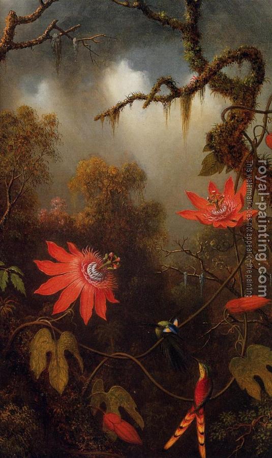 Martin Johnson Heade : Two Hummingbirds Perched on Passion Flower Vines